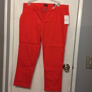 ✨Orange Jegging Crop Pant
